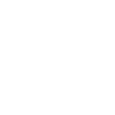 instagram-icon